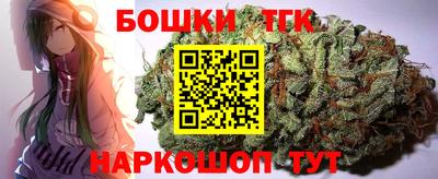 шишки Гай