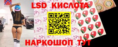шишки Гай