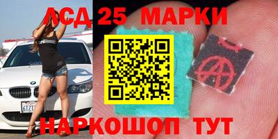шишки Гай