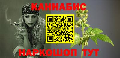 шишки Гай
