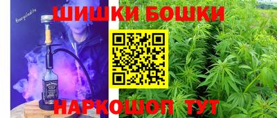 шишки Гай