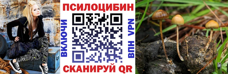Галлюциногенные грибы GOLDEN TEACHER  Железноводск 